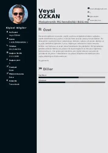 Mekatronik Mühendisliği Cv Örnekleri cv indir